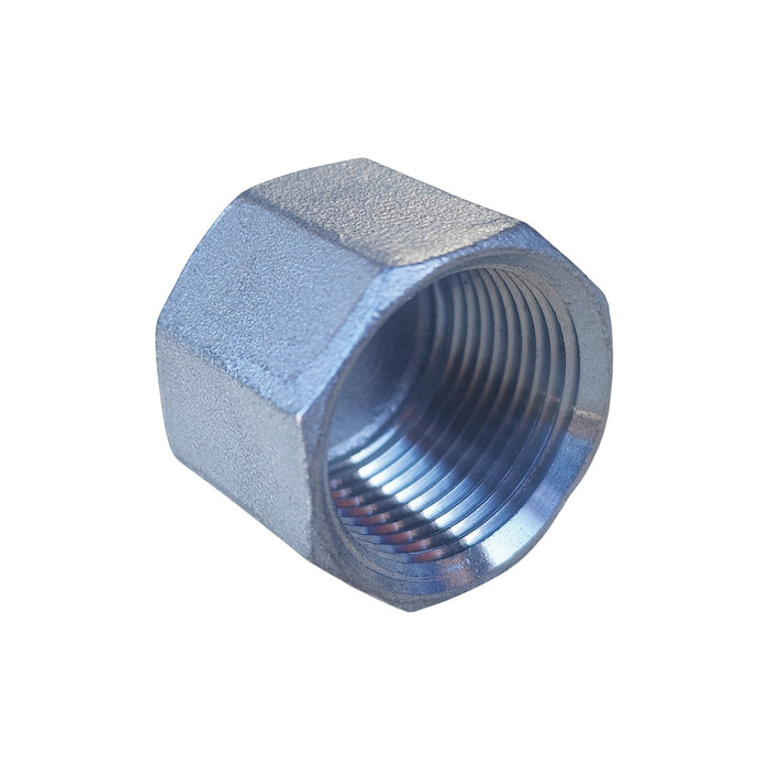 316 STAINLESS STEEL CAP BSP